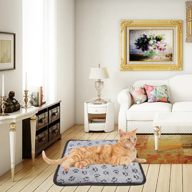 Pet Heated Blanket