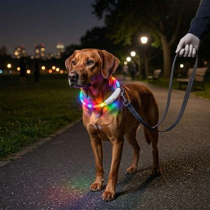 1Pc USB Rechargeable LED Dog Collar Multi Color Lighting Dog Safety Collar Cuttable Length Glow Dog Collar For Small Medium Large Dog Night Walking