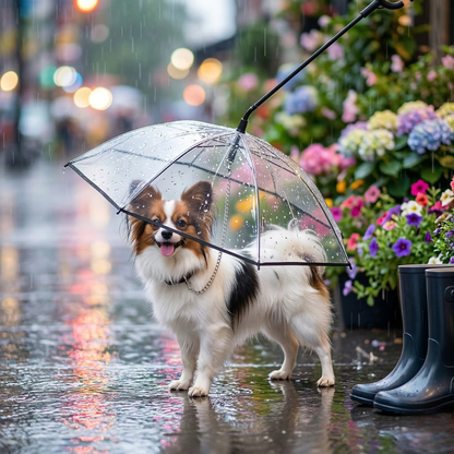 Enjoying Pet Umbrella Leash Rainproof Snowproof Walking Dog Leash Umbrella for Small Dogs Adjustable Dog Umbrella Clear(Chain)
