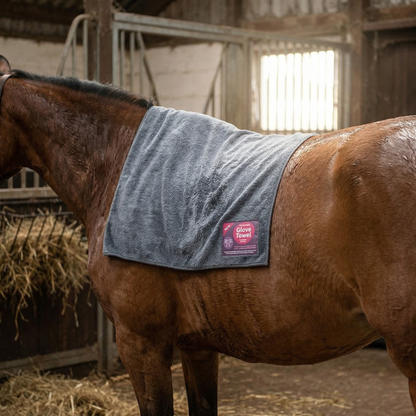 Henry Wag Microfiber Horse Towel (One Size) (Gray/Plum)
